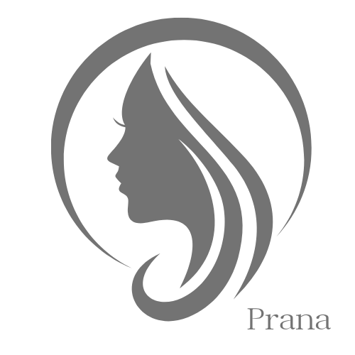 prana-icon